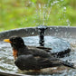🔥Ekstraordinært tilbud – 50 % rabatt🔥🔥Solcelledrevne fuglevannskilder🐦️