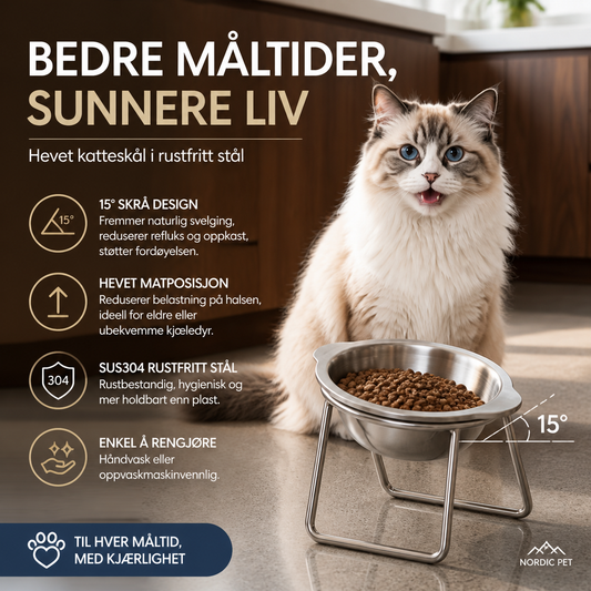 🐶 Skråstilt forhøyet matskål – 15°, SUS304 rustfritt stål, reduserer oppkast og nakkesmerter. Perfekt for små hunder! 🦴✨