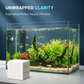 ⚡Black Friday-tilbud🐠 KJØP 1 FÅ 1 GRATIS! ✨ AKVARIUMKLARGJØRENDE ARK