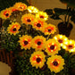 🌻50 % RABATT! ☀️ Vanntette solcellelamper – Realistiske blomsterblader, IP65 værbestandig og lyser automatisk i 8–12 timer ☀️🌻