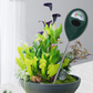 ⏳Tidsbegrenset 50% RABATT⏰Profesjonell jordfuktmåler for innendørs og utendørs planter🌱💦