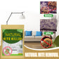 🌿 Naturlig middmiddel – plantebasert, trygt for barn og kjæledyr, fri for giftstoffer. Langvarig beskyttelse – bare plasser og glem! ✨🛡️