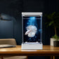 🐟 Betta-fisketank med 7‑farget LED – krystallklart akryl, kompakt vertikal design, USB‑strøm. Perfekt til skrivebord og nattbord – skaper ro! ✨🌙