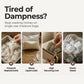 💧 Gjenbrukbar minifuktfjerner – 300ml kapasitet, synlig metningsvindu, tåler varme. Beskytter klær, sko og bagasje mot fukt og mugg – uten plastavfall! 🌿🛡️