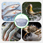 🦀 Sammenleggbart løfteteppe – for agn, krabbe og småfisk. Rund åpning, nylonnett, lett å bære – perfekt til korte og lange turer! 🎣✨