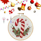 🧵 Julebroderisett for nybegynnere – snølandsby-motiv, vannløselig mønster, 25 cm ramme. Perfekt julegave! 🎄✨