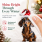 🎄 Julenisse-dachshund i akryl – knusesikker, dobbeltsidig trykk, vannavvisende. Lett og søt juletrepynt! ✨🐶