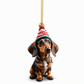 🎄 Julenisse-dachshund i akryl – knusesikker, dobbeltsidig trykk, vannavvisende. Lett og søt juletrepynt! ✨🐶