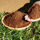 Den Beste Gaven til Hagearbeid - Økologisk Kokosfiber til Planter